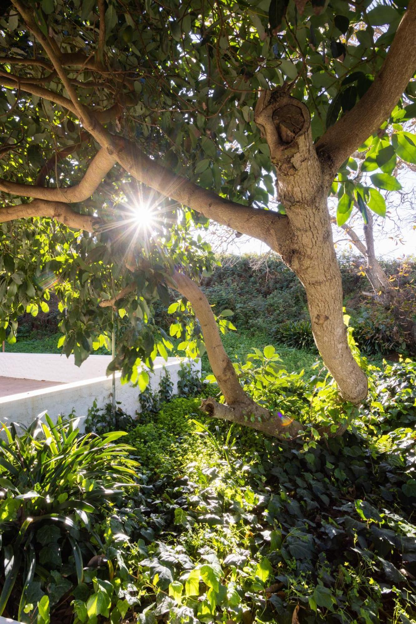 Lightbooking Casa De Campo Ortigal Tenerife La Esperanza  Exteriör bild